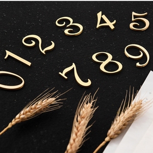 Números de Puerta de Latón Macizo - Placa Moderna para Habitaciones de Hotel y Señalización Personalizada de Cobre para Pasillos - Product Image 3