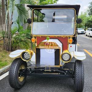 Auto Clásico Eléctrico de 11 Plazas Personalizado de Fábrica - Product Image 3