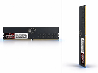 Module de mémoire RAM DDR5 TXRUI 32 Go 6000 MHz pour ordinateur de bureau, mémoire XMP haute vitesse DDR5 pour overclocking PC, 32 Go en stock