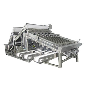 Máquina de clasificación de camarones, clasificador de camarones, lavado de gambas, rodillo de Camarón, China - Product Image 2