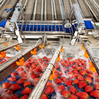 Ligne de traitement personnalisée pour le lavage et le séchage des fruits et légumes