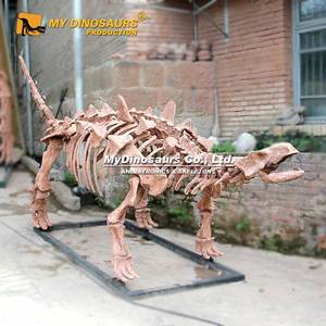 <span class=keywords><strong>Esqueleto</strong></span> Ankylosaurus tamaño real MyDino - Product Image 3
