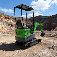 Mini-excavatrice TF13, 0,89 tonne, chenilles, moteur Koop Yanmar Kubota, mini-pelle Euro 5 Epa, machine de terrassement agricole à vendre