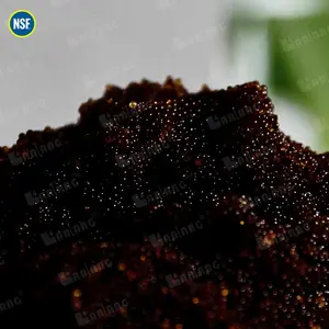 NSF Black Portable Water Softening Ion-exchange Resin Strong Acid DVB Cation Ion Exchange Resin Water Filter Ion Exchange Resin