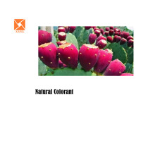Poudre de jus de fruits de Cactus Soluble dans l'eau Ficus Opuntia rouge naturel d'approvisionnement d'usine