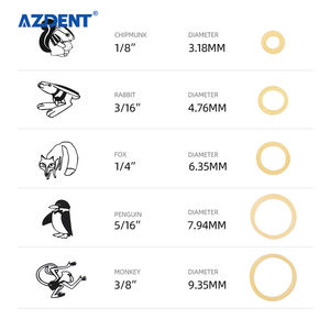 Bandes de caoutchouc élastiques dentaires, pour appareil orthodontique, pour bretelles de dents, en vogue, approuvé CE - Product Image 5