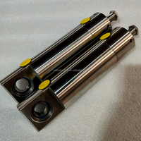 Cilindro Hidráulico de Doble Acción de Acero Inoxidable 304/316L con Recubrimiento de Cromo Duro, de Alta Precisión y Capacidad de Carga/Recorrido Personalizable XSL