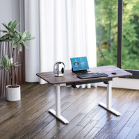 2025 nouveau bureau de moteur de bureau électrique haut de gamme Vintage hauteur réglable pour le personnel de bureau caractéristique de levage électrique