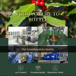 Aceite Esencial de Wintergreen 100% Puro y Orgánico para el Cuidado Corporal, Venta al por Mayor de Fábrica, Mejor Precio, Muestra Gratuita - Product Image 6