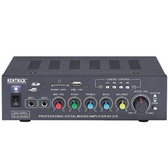 Best Selling 10 Watt Mini Professional Home Theater Audio Karaoke Amplifier USB Communication Portable FM Tuner Includes Mic