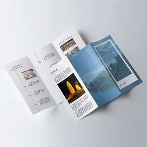 Brochure <strong>Printing</strong> Flyer Pamphlet Holder Leaflet Service A5 Courier Pamphlets Design Digital Hang Tags Leaflets Printer Flyers - Product Image 5