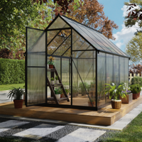 8'x6'ft Kit de serre de jardin en cristal à cadre en métal moderne et écologique Porte à charnière simple Assemblage facile Ventilation d'arrière-cour pour la maison