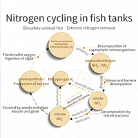 BQ N2 probiotiques système d'aquarium eau douce et eau de mer pour l'élimination des nitrates de nitrite poissons d'ornement bactéries dénitrifiantes