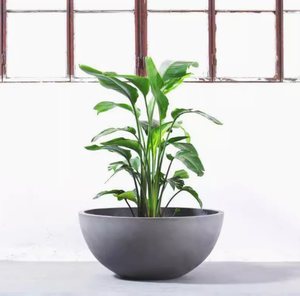 <span class=keywords><strong>Maceta</strong></span> de cemento en forma de cuenco simple, decoración creativa para jardín, <span class=keywords><strong>maceta</strong></span> grande, fabricantes de <span class=keywords><strong>barro</strong></span> de magnesio - Product Image 4