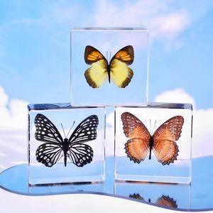 فراشة حقيقية مغلفة بعينات بيولوجية محفوظة من راتنج الكريستال لديكور المنزل وعيد الميلاد للعام الجديد - Product Image 1