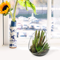 Soufflé à la main décoratif borosilicate bol en verre terrarium