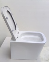 Europe toilette murale sans rebord toilette flottante wc suspendu complet salle de bain toilette suspendue