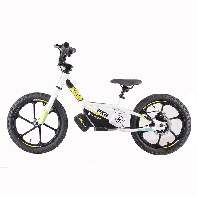 12" 16" or 20" FXB Style High Quality Skateboard Manufacturer New Design Balance Bike 12inch Lithium Battery Electric Balance
