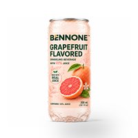 Thé au kiwi de qualité supérieure, enrichi en jus véritable, boisson pétillante saine, logo personnalisé, OEM ODM disponible