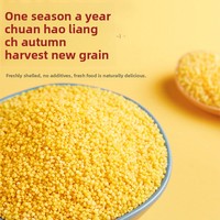 Millet jaune biologique de Qinzhou Chichuan 2,5 kg Récolte fraîche Millet authentique de qualité supérieure du Shanxi Durée de conservation de 365 jours Sac