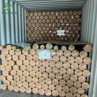 Rouleaux de papier marqueur blanc pour traceur 40g - 80g pour motifs textiles Largeur 72 "X Longueur 400 Yards