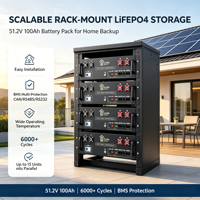 Batterie LiFePO4 51,2 V 100 Ah 5,12 kWh montée en rack, 6000+ cycles, jusqu'à 15 unités en parallèle, communication CAN RS485 RS232, naturelle