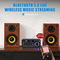 YENİ AK45PRO Stereo Ses Amplifikatörü 6-8 inç Hoparlörler İçin Uygun HIFI Güç Amplifikatörü Ev Sinema Sistemi İçin