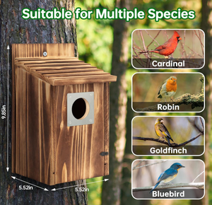 Yeni Tasarım Ahşap Kuş Yuvaları, Mavi Kuş, Şakrak Kuşu, Kırlangıç, İspinoz için Metal Yırtıcı Hayvan Korumalı, Dış Mekan İçin, Kolay Temizlenir - Product Image 5