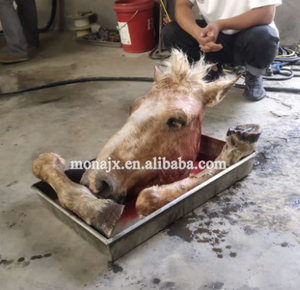 Machine à épiler tête de cochon vache mouton pieds de porc <span class=keywords><strong>agneau</strong></span> jambe corbeau scalder plumer Trotters tête sabot dehair machine <span class=keywords><strong>prix</strong></span> - Product Image 2