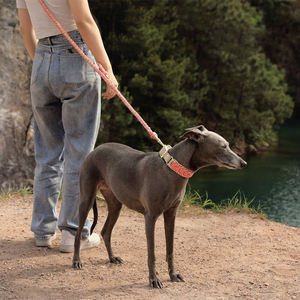 Luxuriöses Geflochtenes Hundehalsband aus Seil, Verstellbares Paracord-Halsband, Gestricktes Leder-Nylon-Hundehalsband - Product Image 2