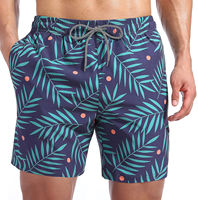 Pantalones de playa de verano para hombre de secado rápido al por mayor, bañadores antiarrugas, pantalones cortos de playa bordados, ropa de baño para hombre