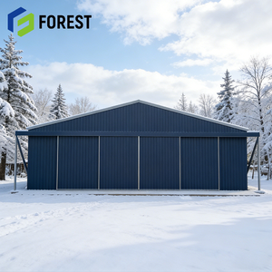 Solution clé en main : Hangar d'avion en structure métallique à longue durée de vie pour l'entretien des hélicoptères avec service de conception - Product Image 1