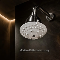 Pommeau de douche moderne rond à fixation supérieure, double fonction pluie et massage, haute pression, chromé, pour salle de bain