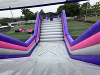 Parcours d'obstacles gonflable commercial Barry Factory Price 5K Inflatable Run the Humps pour événements en plein air