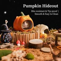 Decoración de Cerámica con Forma de Calabaza Personalizable para Hámsteres y Animales Pequeños, Venta al por Mayor, Escondite para Hámsteres de Halloween