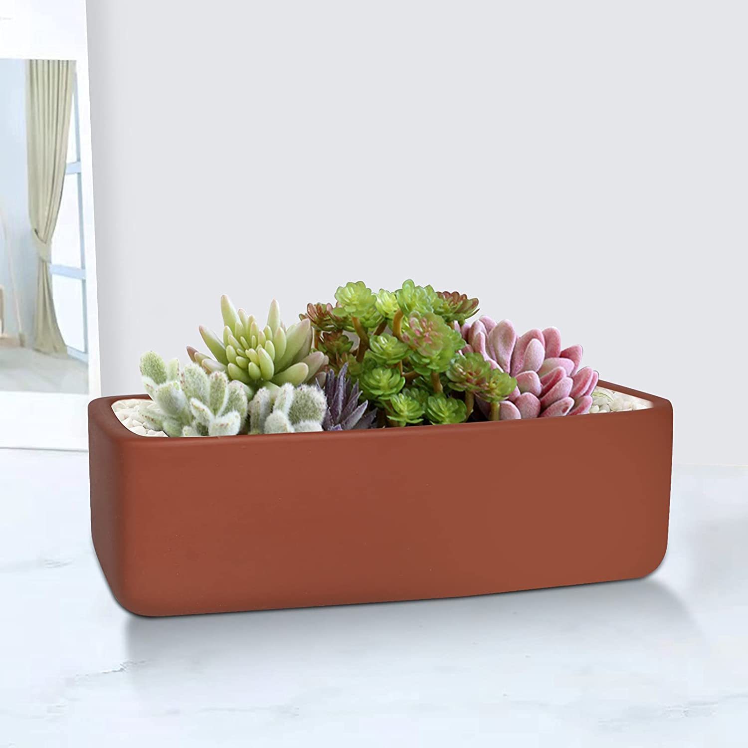 Rechteckiger Terrakotta-Blumentopf für Sukkulenten