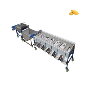 Máy phân loại cà chua, máy phân loại kích cỡ trái cây, dây chuyền chế biến trái cây - Product Image 6