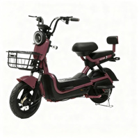 Scooter Électrique SEG 2025 – Modèle Eb16 48V 350W avec Moteur Arrière Intelligent et Électronique – Moto Urbaine – Prix Chine