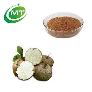 Extrait de Pueraria Mirifica pur naturel en poudre d'extrait de racine de kudzu de thaïlande de qualité supérieure