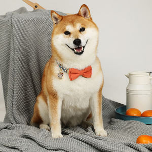 Proveedores chinos de alta calidad Venta caliente Cute Floral Pet <span class=keywords><strong>Dog</strong></span> Cat Collares & Leash Set para todas las estaciones - Product Image 5