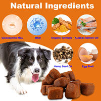 Suplemen OEM untuk Anjing, Suplemen Kesehatan Pinggul & Sendi, Glukosamin & Minyak Hemp, Mendukung Kesehatan Sendi & Pelumasan Sendi, Kesehatan Anjing