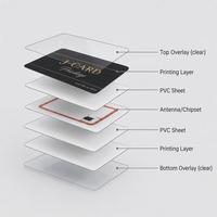 Physische VIP-Karte PVC-Mitgliedskarte mit Magnetstreifen und Chip, Individuelles Design Luxus-Clubkarte Großhandel OEM