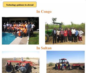 농업용 디스크 레스트라 트랙터 장착 디스크 하로우 중장비 - Product Image 4