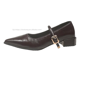 Autumn Pointed Toe Low-Heeled Flats Retro New Style Thick Heel Shallow Mouth Large Size Professional Flats for Women - Product Image 5