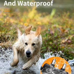 वाटरप्रूफ रिचार्जेबल टीपू चिंतनडॉग प्रशिक्षण कॉलर इलेक्ट्रिक रिमोट कंट्रोल कंपन स्थिर विरोधी बैकिंग विशेषताएं - Product Image 5