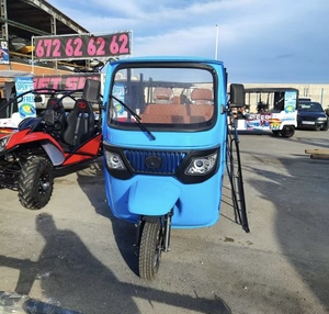 Triciclo Elettrico EEC con Tettuccio per Passeggeri, Tuk-Tuk per Brevi Distanze, Triciclo per Tour Turistici e Panoramiche - Product Image 4