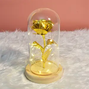 Make China top selling 24K gold foil roses in glass with led light romantic flower gift set with light