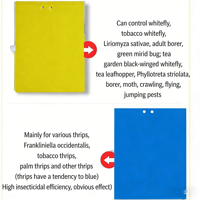 Vente directe d'usine, pièges à mouches collants en plastique jaune de différentes tailles, autocollants anti-insectes, pièges à colle pour insectes