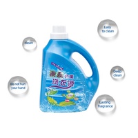 En vrac écologique d'emballage de bouteille de lavage détergent liquide de blanchisserie
