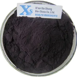 GMP Natural High Quality Anthocyanins Anthocyanidins Bilberry Extract